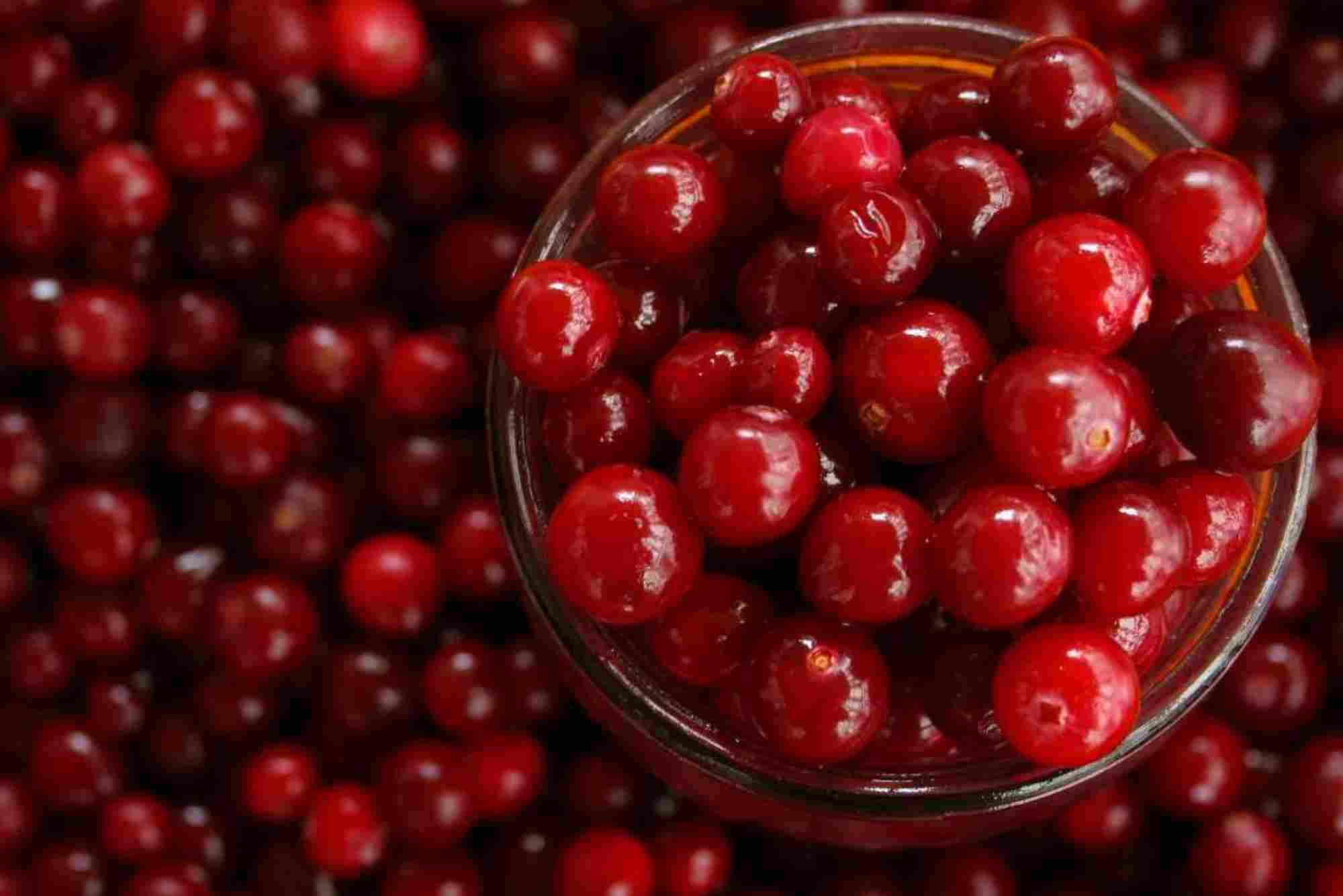 Cranberry Fruit In Hindi