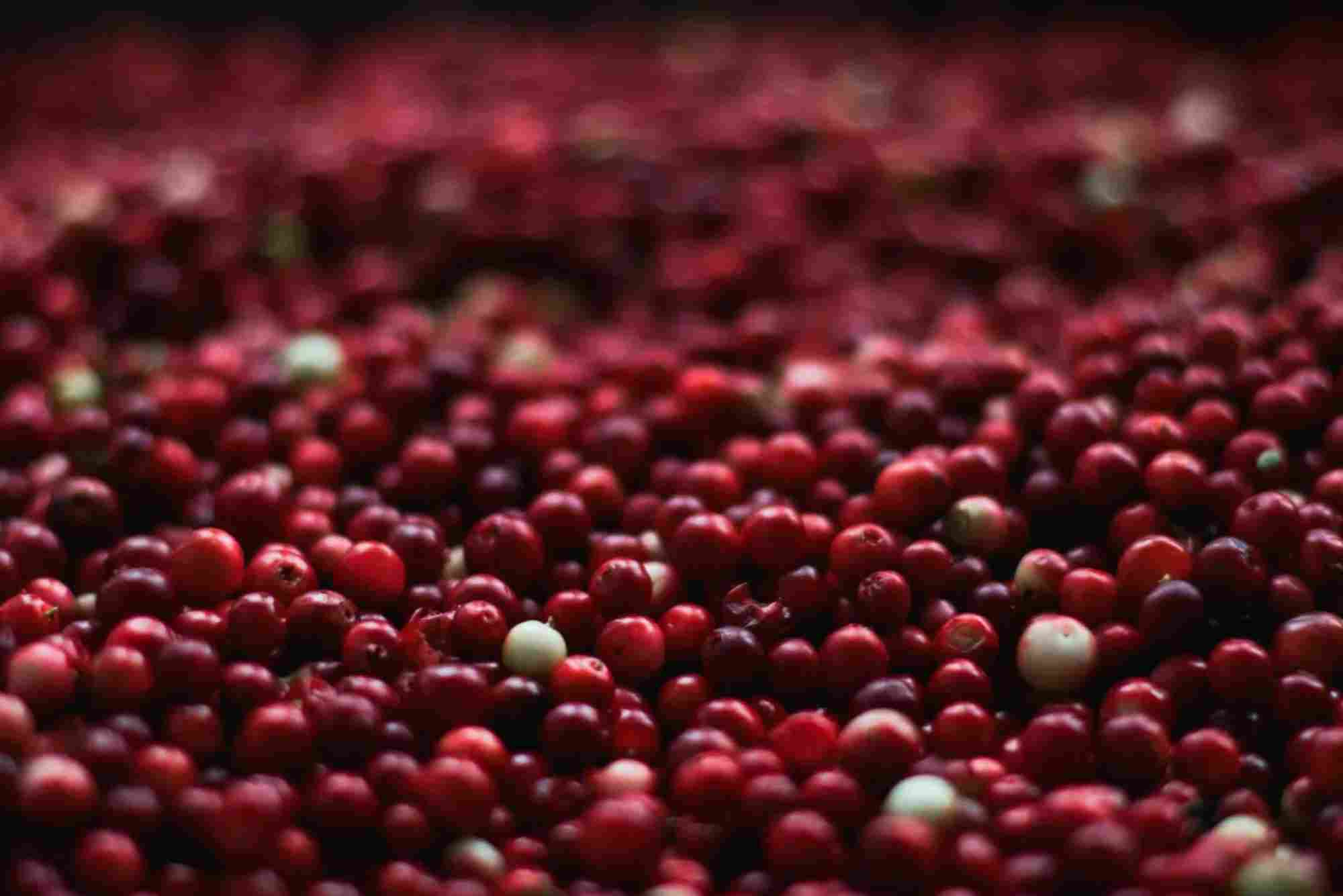 Dingleberry Fruit
