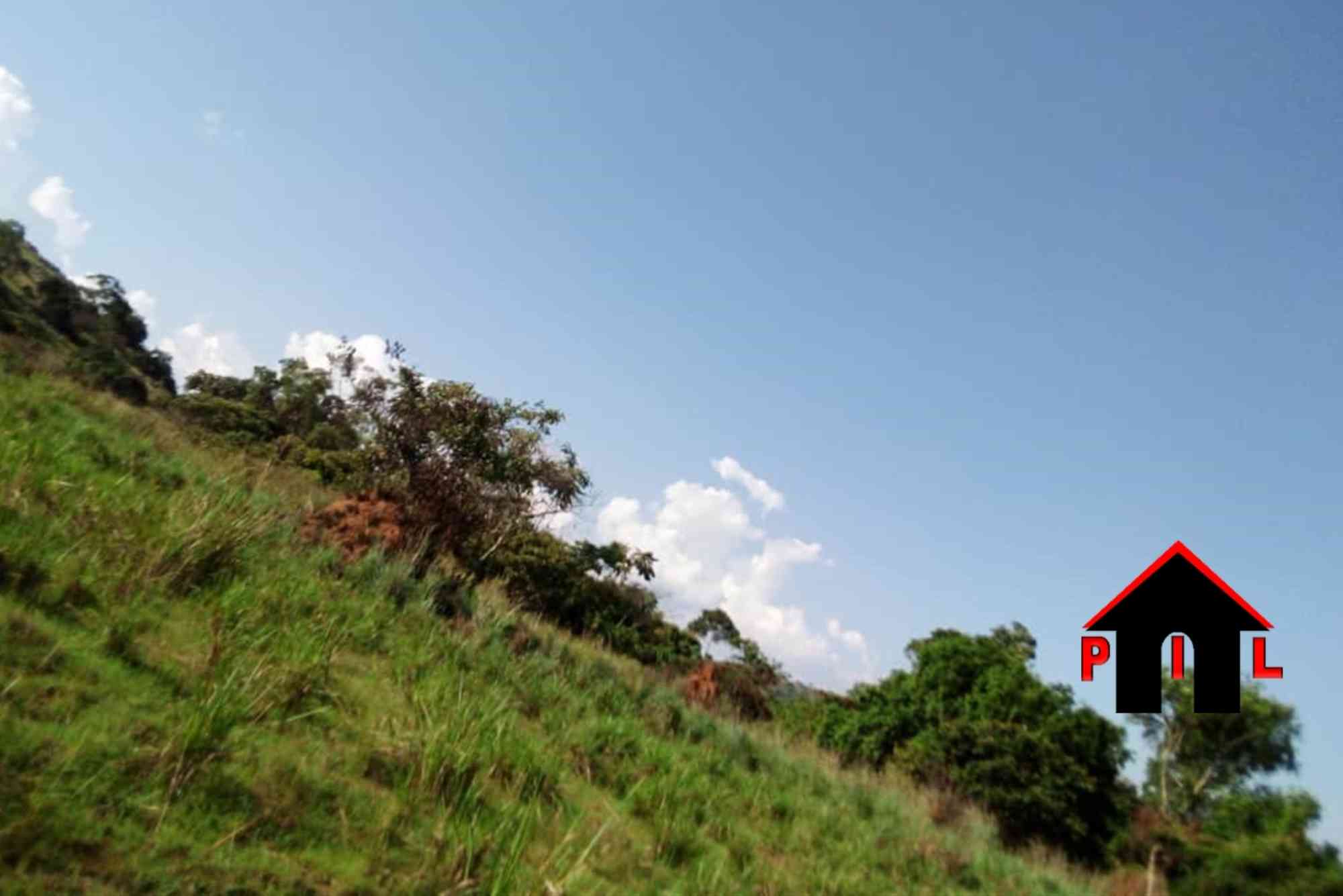 Very Cheap Land
