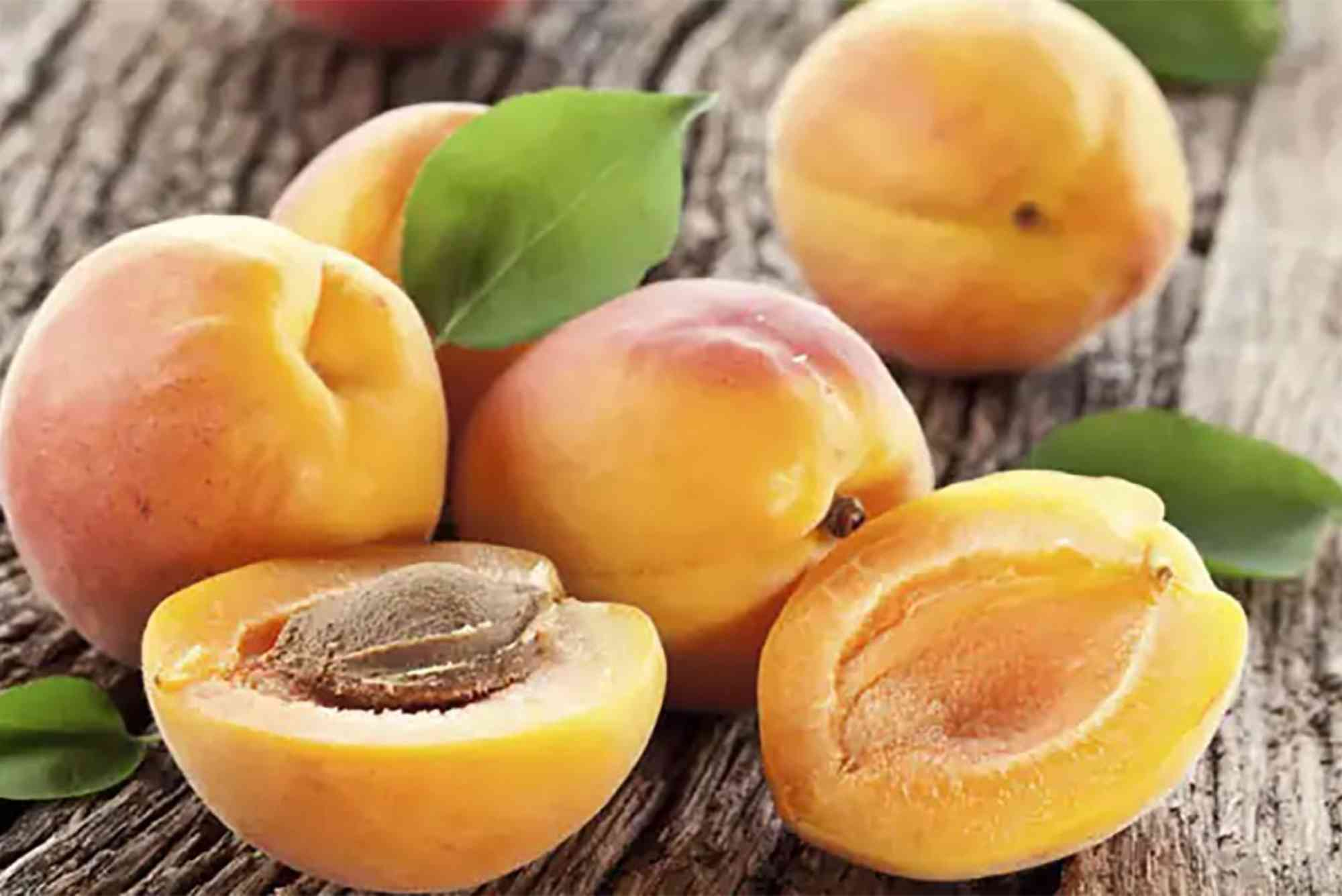 Apricot Fruit Tamil Name