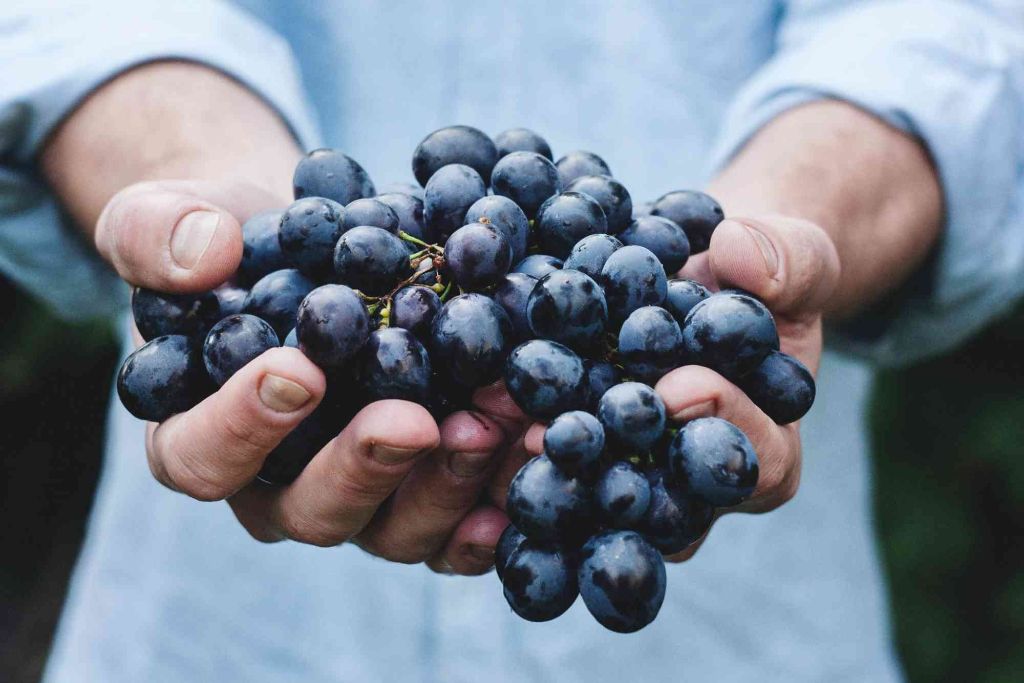 Fruitful Meaning in Tamil