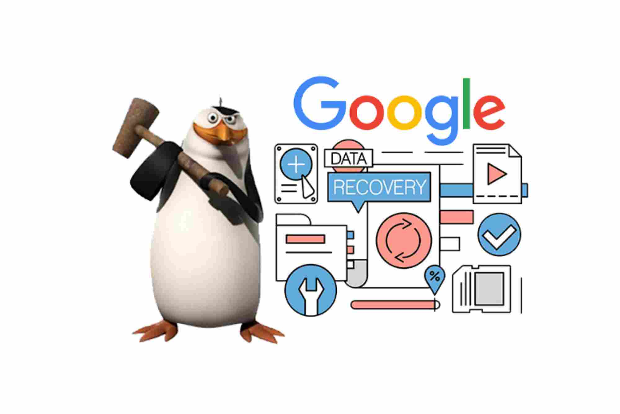 Google Penguin Recovery Experts in Dubai