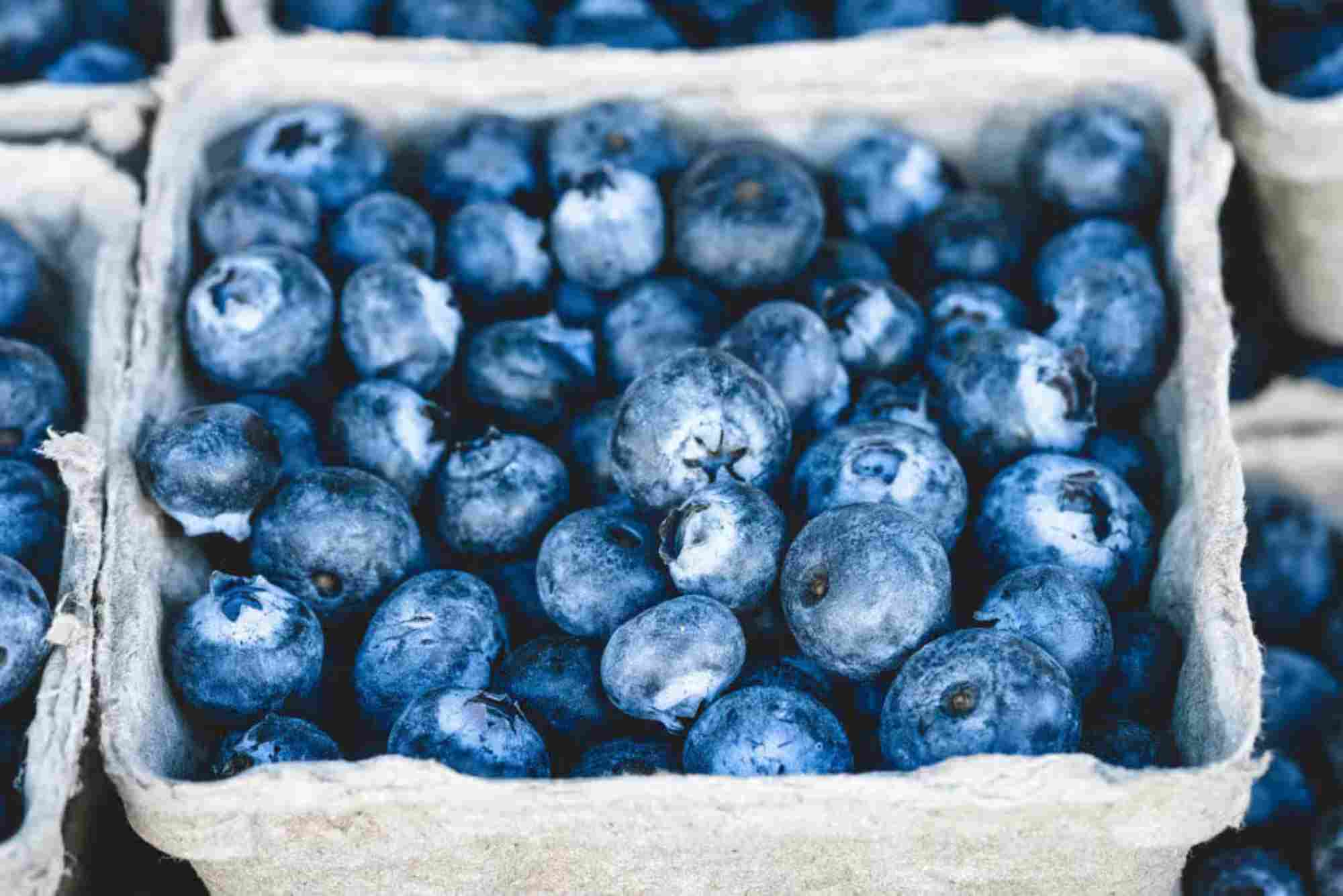 Blueberries Health Benefits And Side Effects