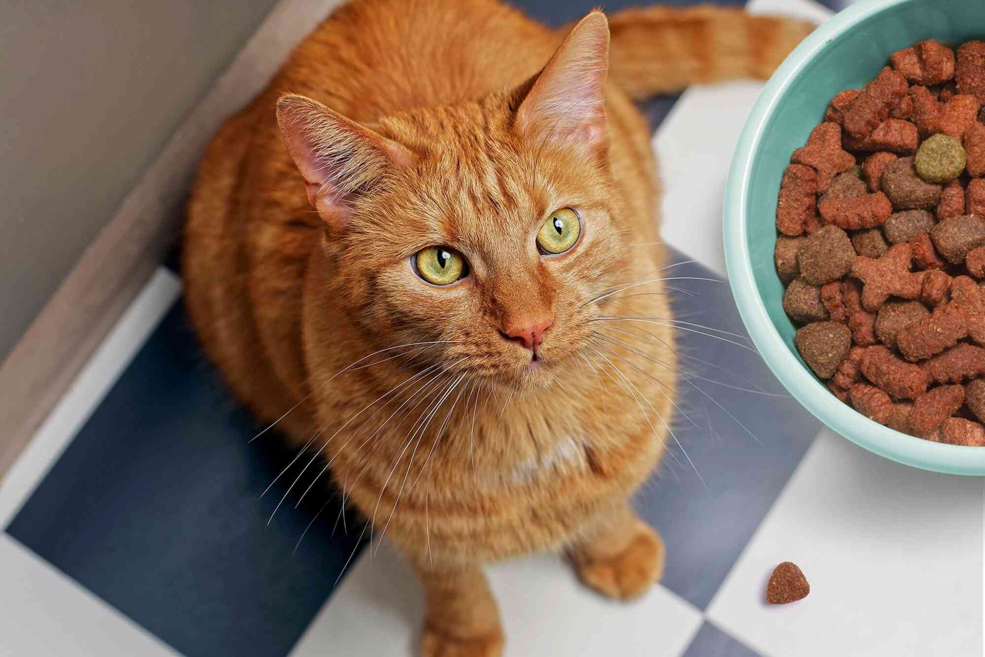 Katzen Trockenfutter Perfect Fit