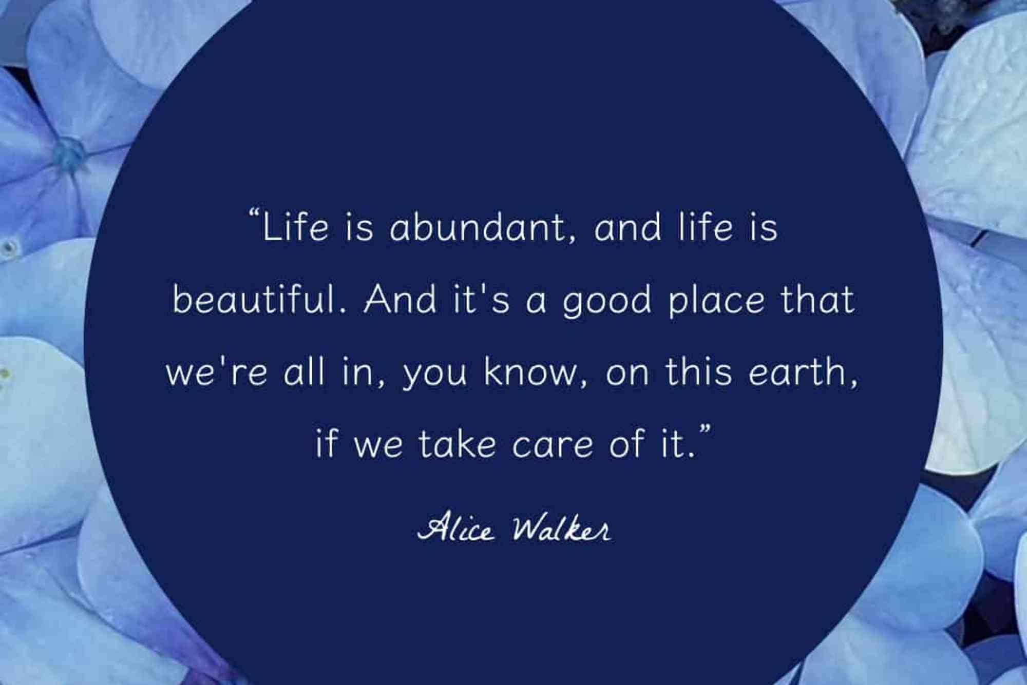 Happy Life Beautiful Quotes