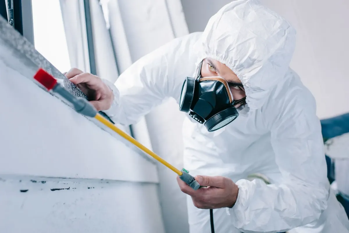 The Complete Guide to Pest Control Dubai: Protecting Your Home and Business