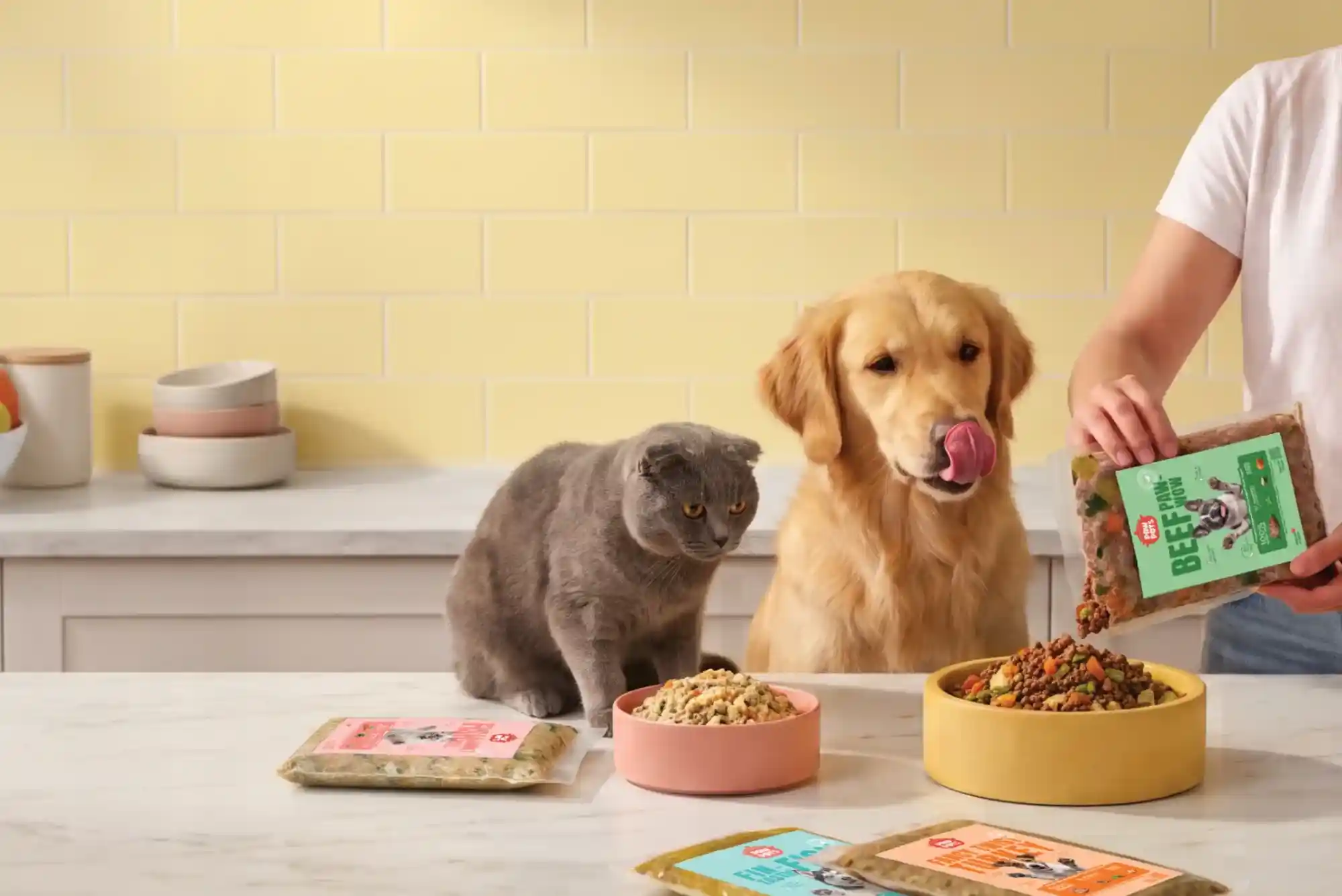 Best Pet Food Delivery Services and Online Stores in UAE (Chewy Equivalents)