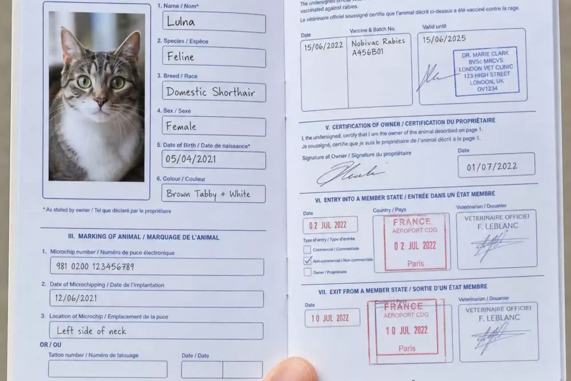 Pet Passport UAE: How to Get an Official Vaccination Card in Dubai